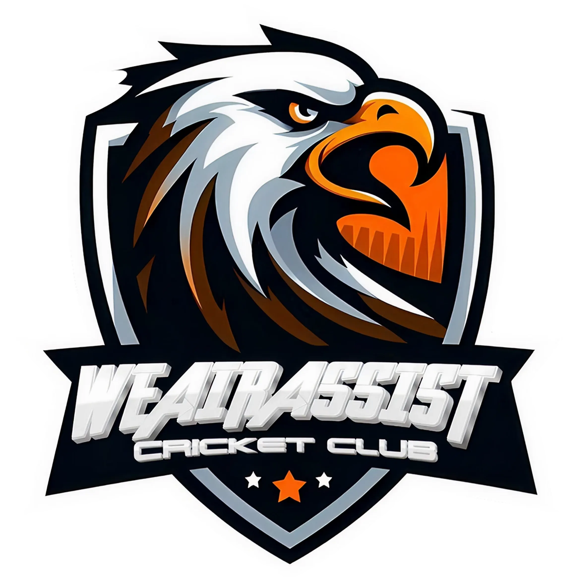 WeAirAssist Cricket Club