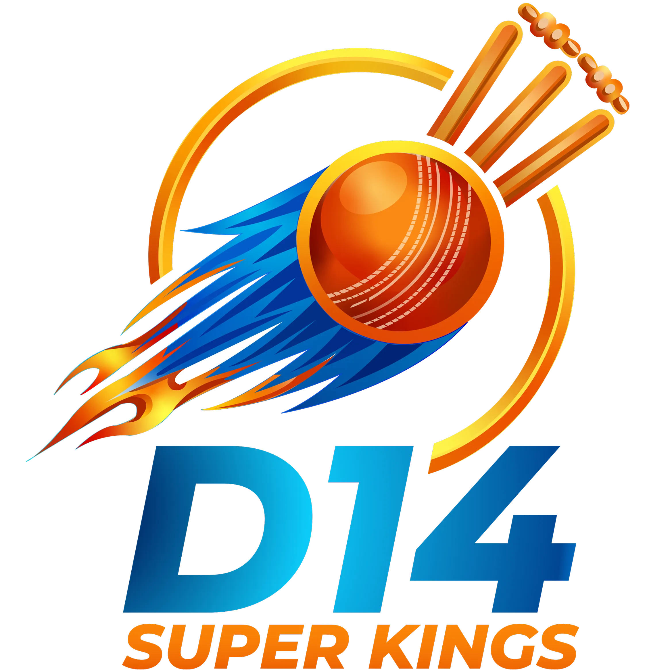 D14 Super Kings logo